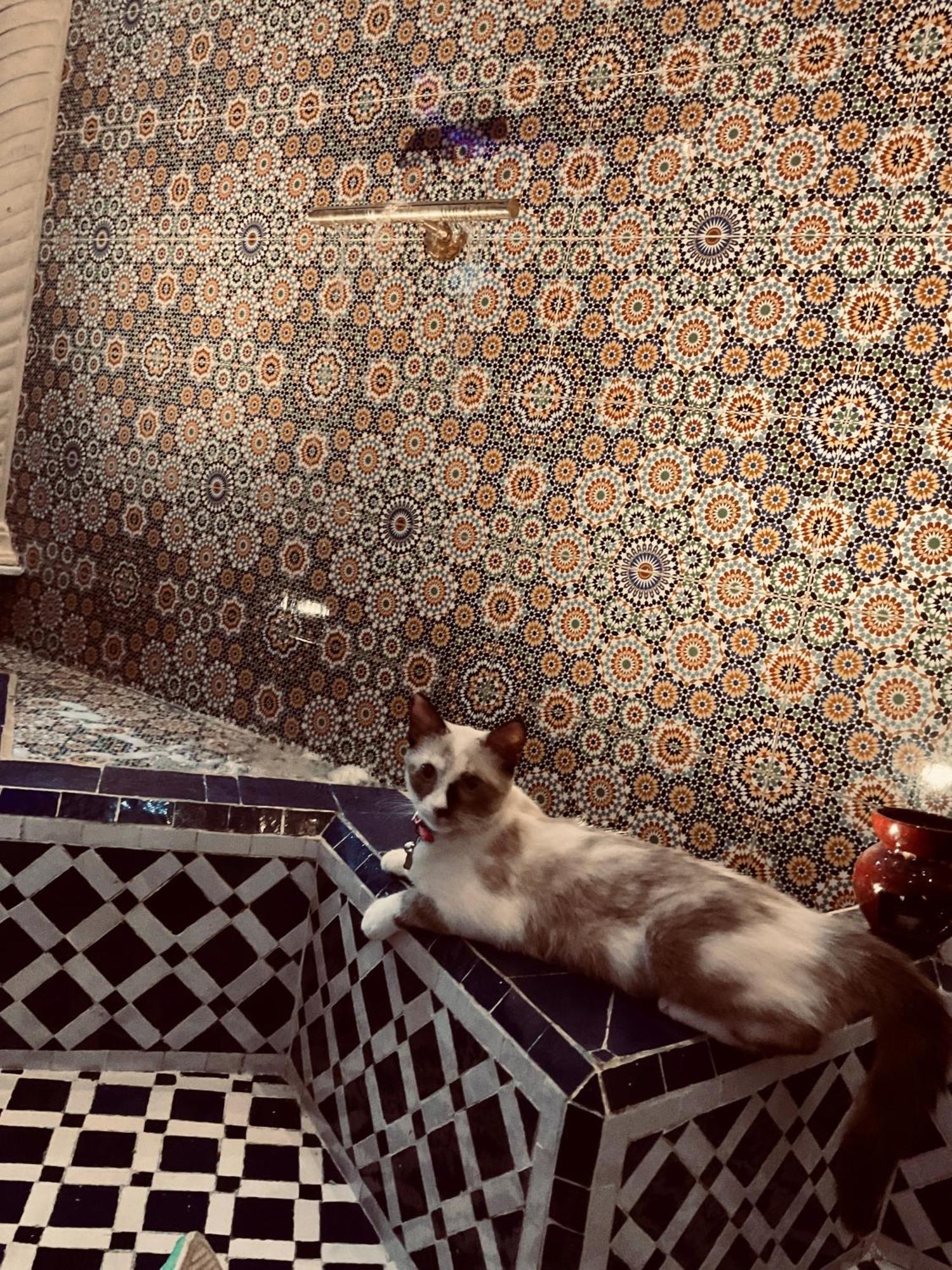 Riad Lalla Merieme Маракеш Екстериор снимка